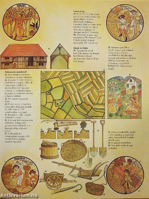 A reneszánsz és az Újvilág