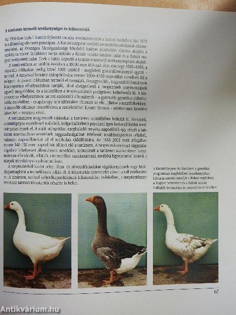Tangazdaságok, tanüzemek az agrár-felsőoktatásban
