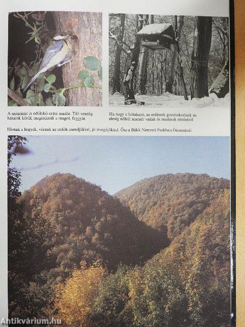 Az erdők nagy képeskönyve