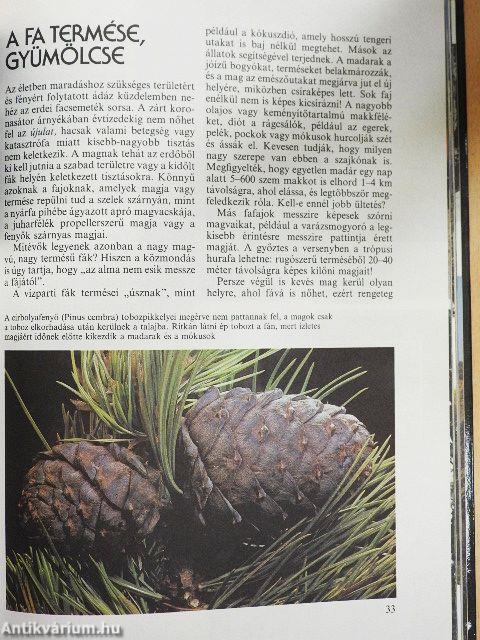 Az erdők nagy képeskönyve