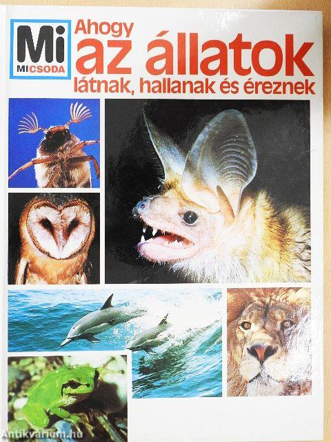 Ahogy az állatok látnak, hallanak és éreznek