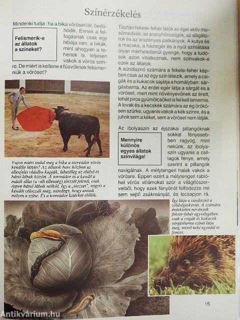 Ahogy az állatok látnak, hallanak és éreznek