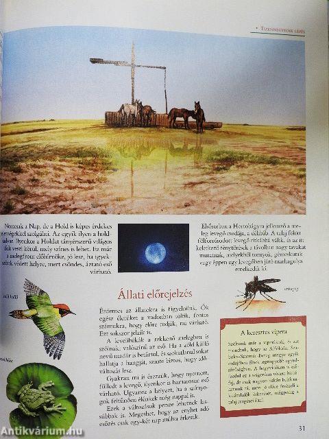 Növény- és állatvilág