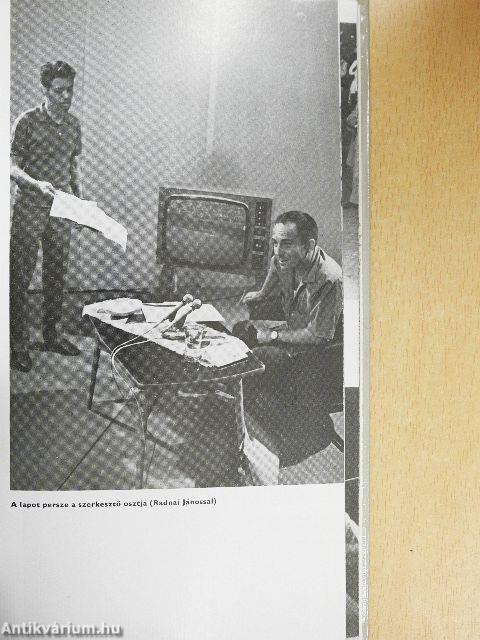 Hivatásos sportrajongó