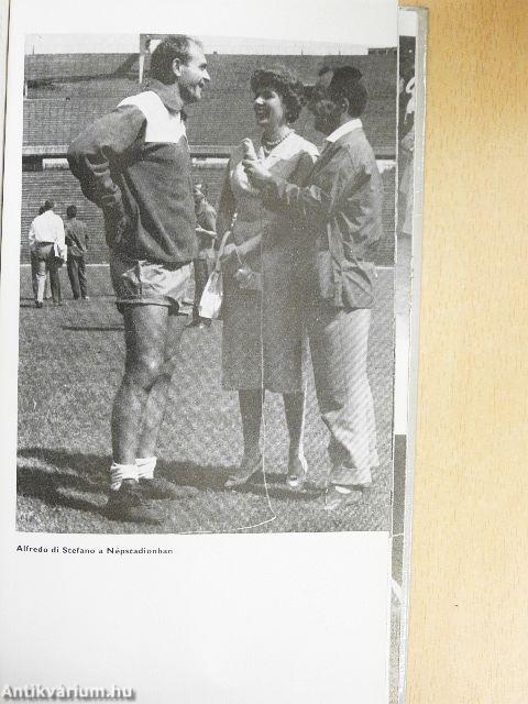 Hivatásos sportrajongó