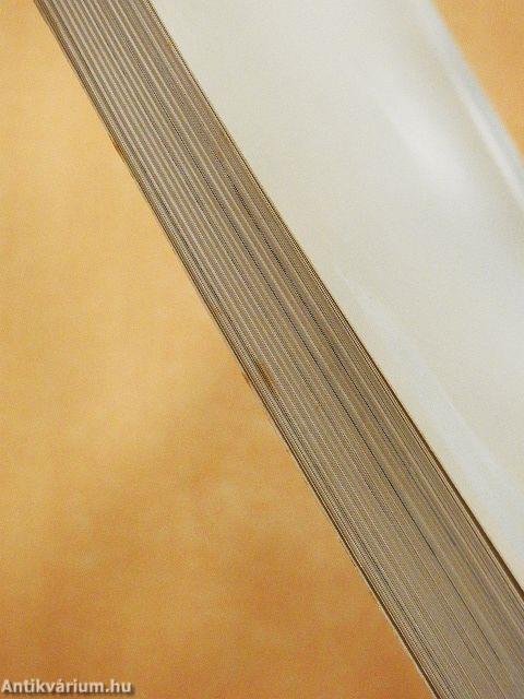 Munkácsy Békés megyében