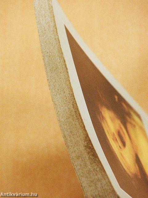 Munkácsy Békés megyében