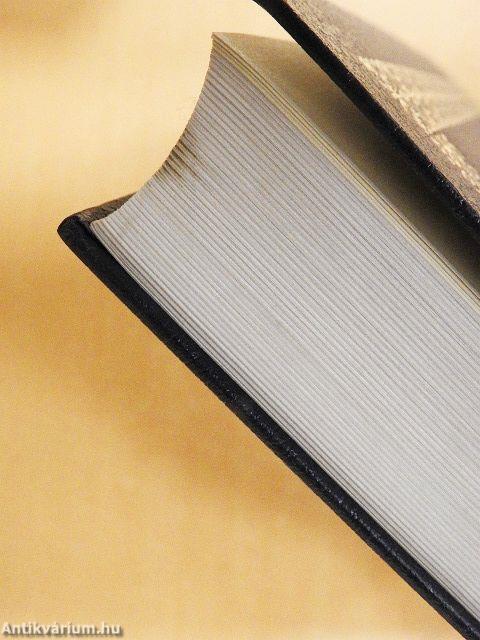 Szlavóniai (kórógyi) szótár