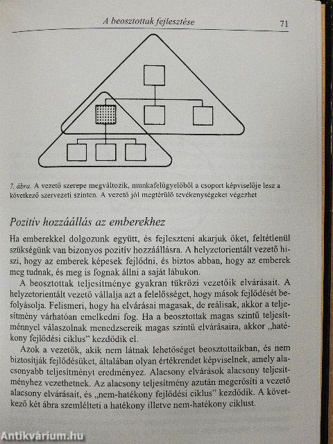 A helyzetorientált vezető