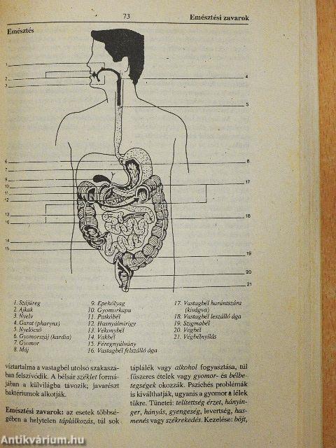 Természetgyógyászati kislexikon