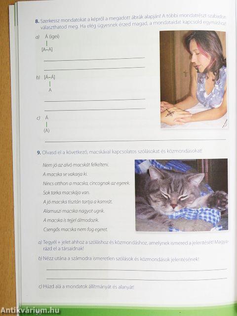 Nyelvtan munkafüzet 7.