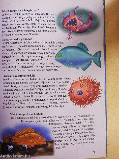 Tudod-e? - Érdekességek az állatvilágból