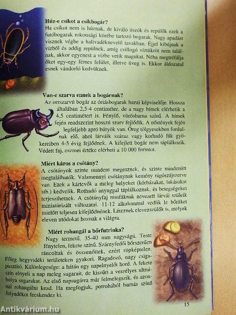 Tudod-e? - Érdekességek az állatvilágból