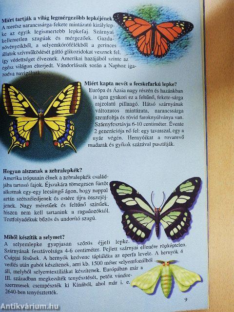 Tudod-e? - Érdekességek az állatvilágból