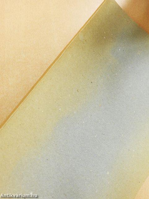 Hódmezővásárhely 1982