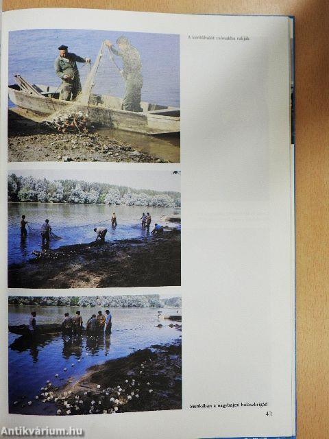 Ezer sziget országa