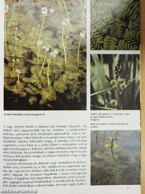 Ezer sziget országa