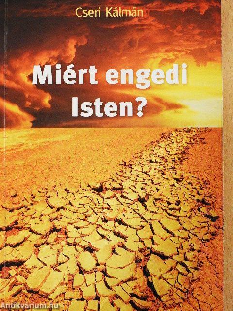 Miért engedi Isten?