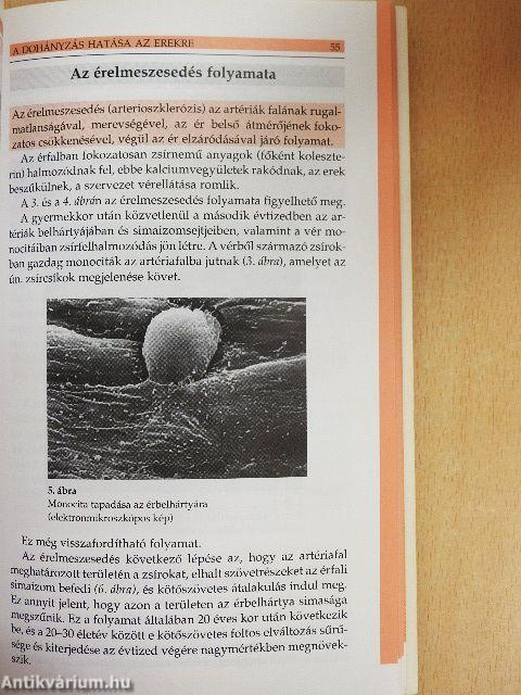 Miért ne dohányozzunk?