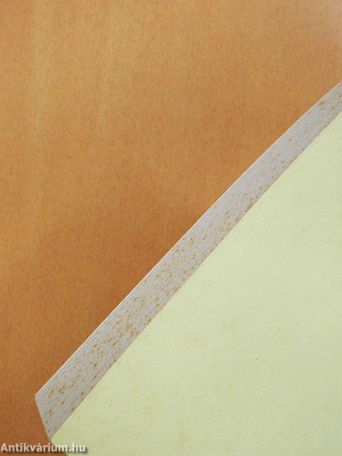 A Hódmezővásárhelyi Szeremlei Társaság Évkönyve 1997.