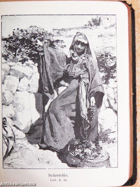 Képes új testamentom/A zsoltárok könyve