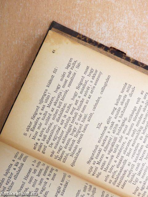 Léghajón az Északi Sarkhoz