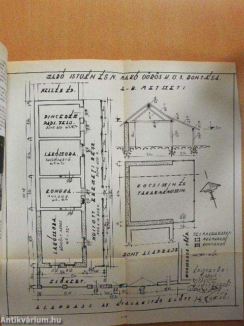 A Móra Ferenc Múzeum Évkönyve 1982/83-1.
