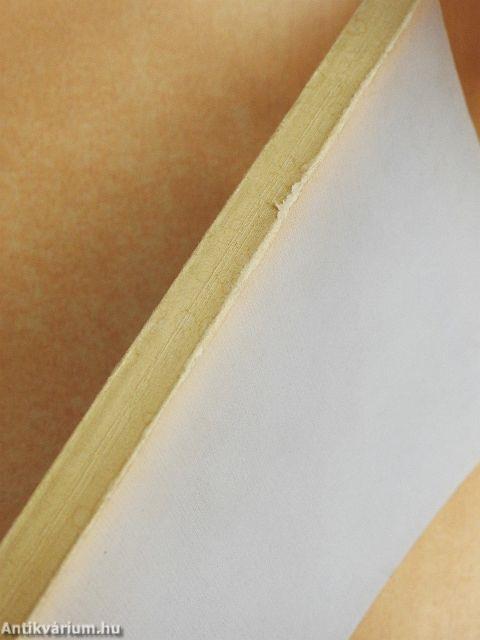 Múzeumi kutatások Csongrád megyében 1980