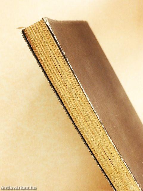 Megöltek egy legényt