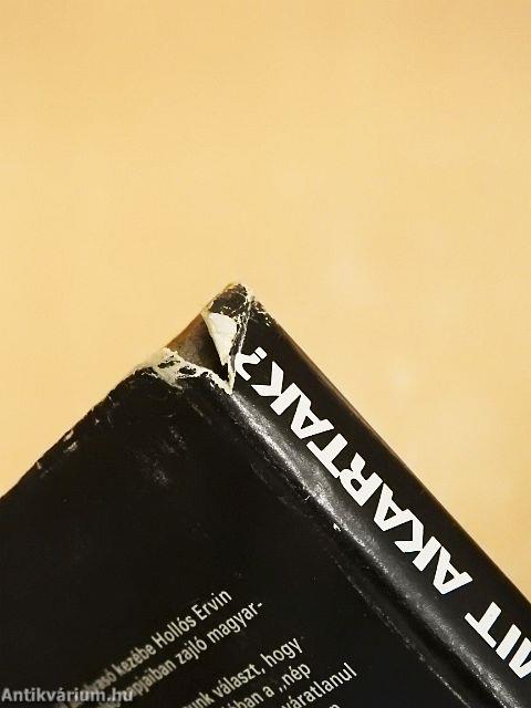 Kik voltak, mit akartak?