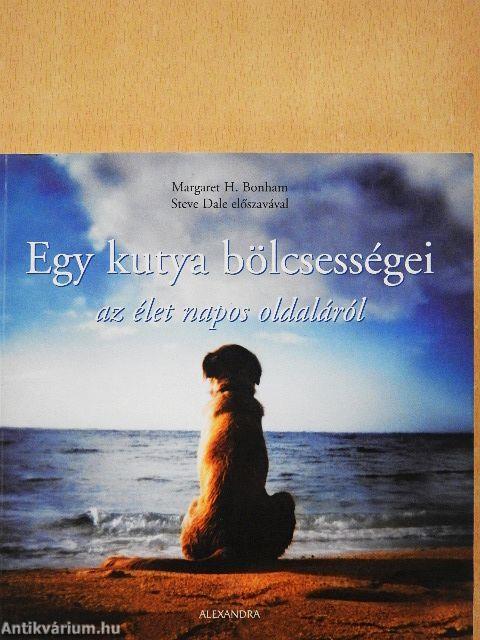 Egy kutya bölcsességei az élet napos oldaláról