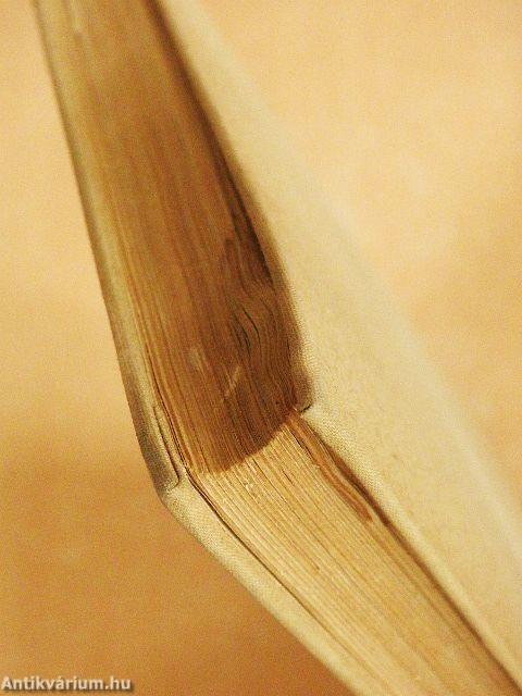 Mai francia költők