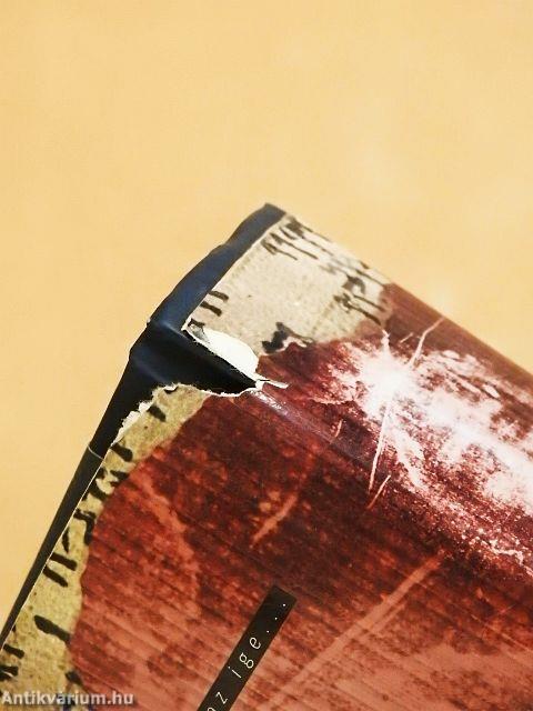 Az elveszett evangélium