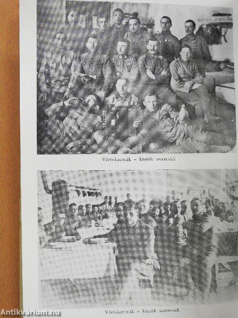 Szuronyok árnyékában