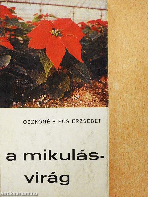 A mikulásvirág