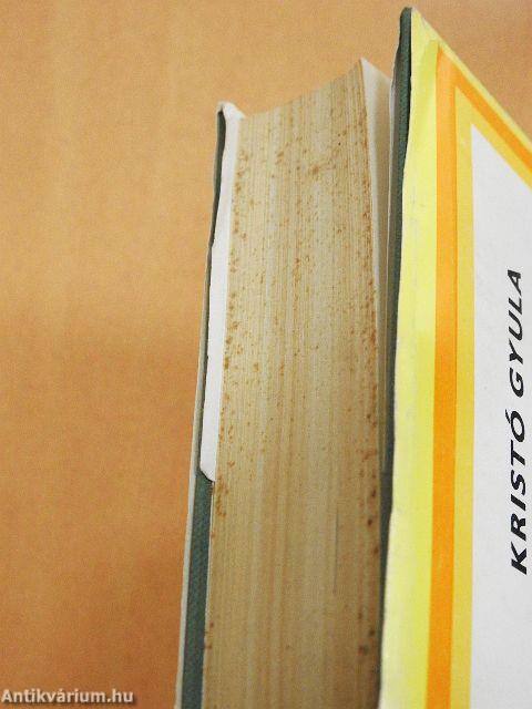 Levedi törzsszövetségétől Szent István államáig