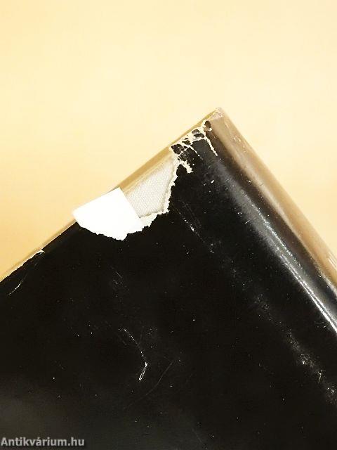 Ady Endre élete és pályája