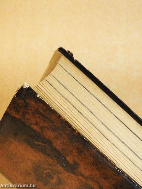 Ady Endre élete és pályája