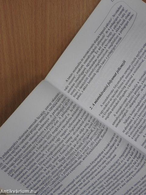 Tanári minta - mintatanár