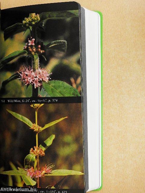 National Audubon Society Field Guide to North American Wildflowers