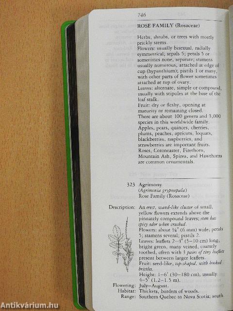 National Audubon Society Field Guide to North American Wildflowers