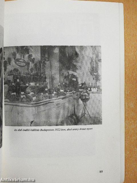 Ecsetvonások Kocsis Pál szőlőnemesítő portréjához