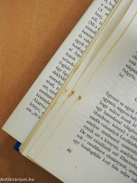 Régészeti tanulmányok