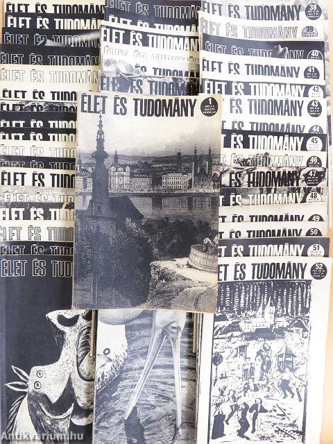 Élet és tudomány 1973. (nem teljes évfolyam)