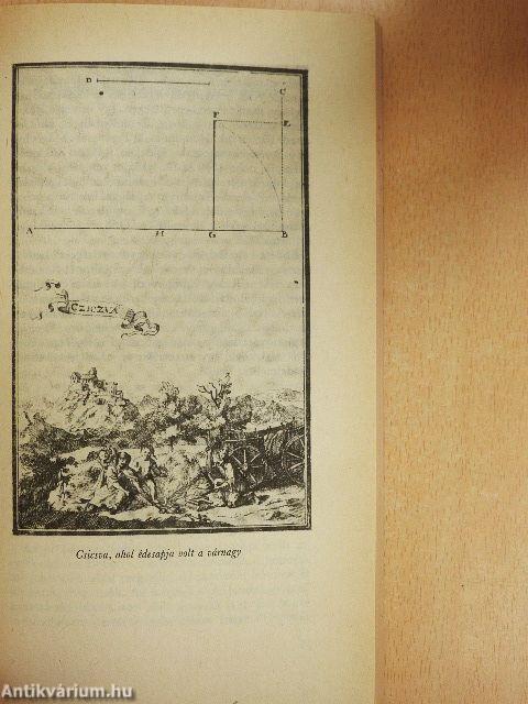 Erdély választott fejedelme