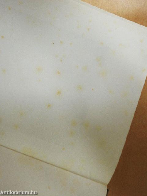 Westeuropäische Malerei in der Ermitage