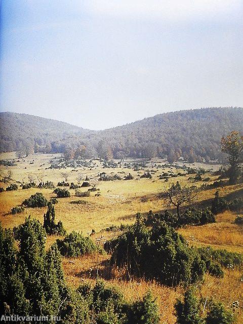 The magic of mountains