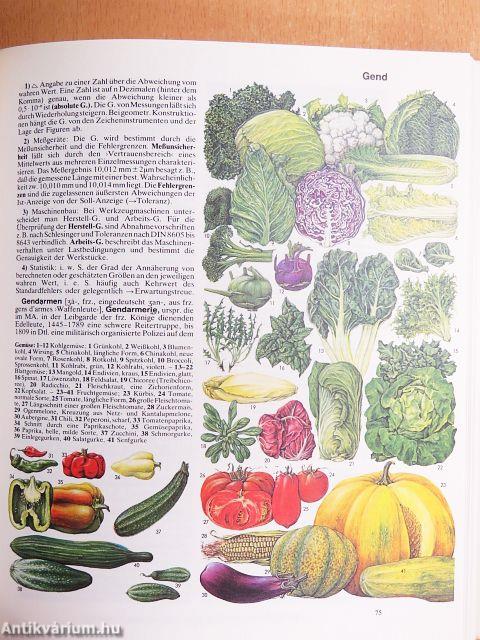 Der Grosse Brockhaus 1-26.