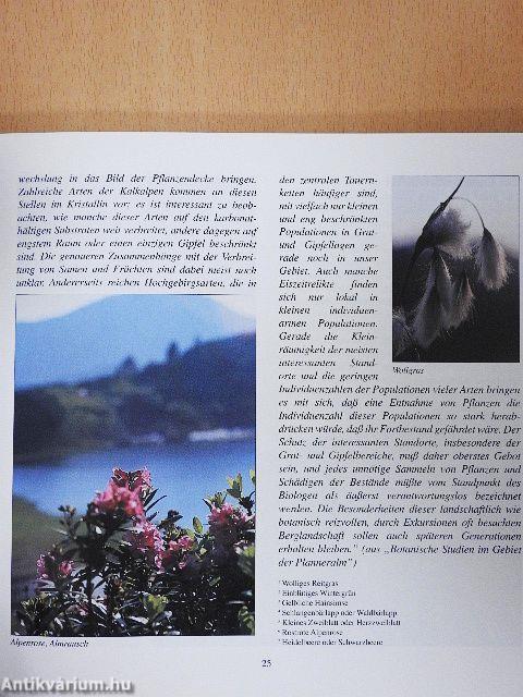 Die Planneralm einst und jetzt