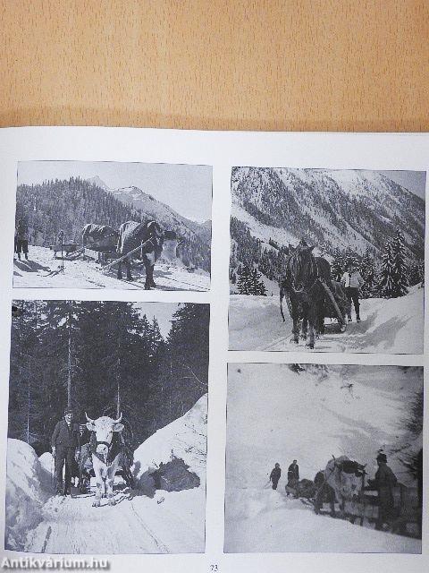 Die Planneralm einst und jetzt